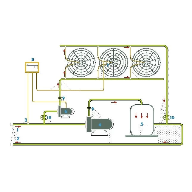 Blozoen Zonnecollector - Afbeelding 9