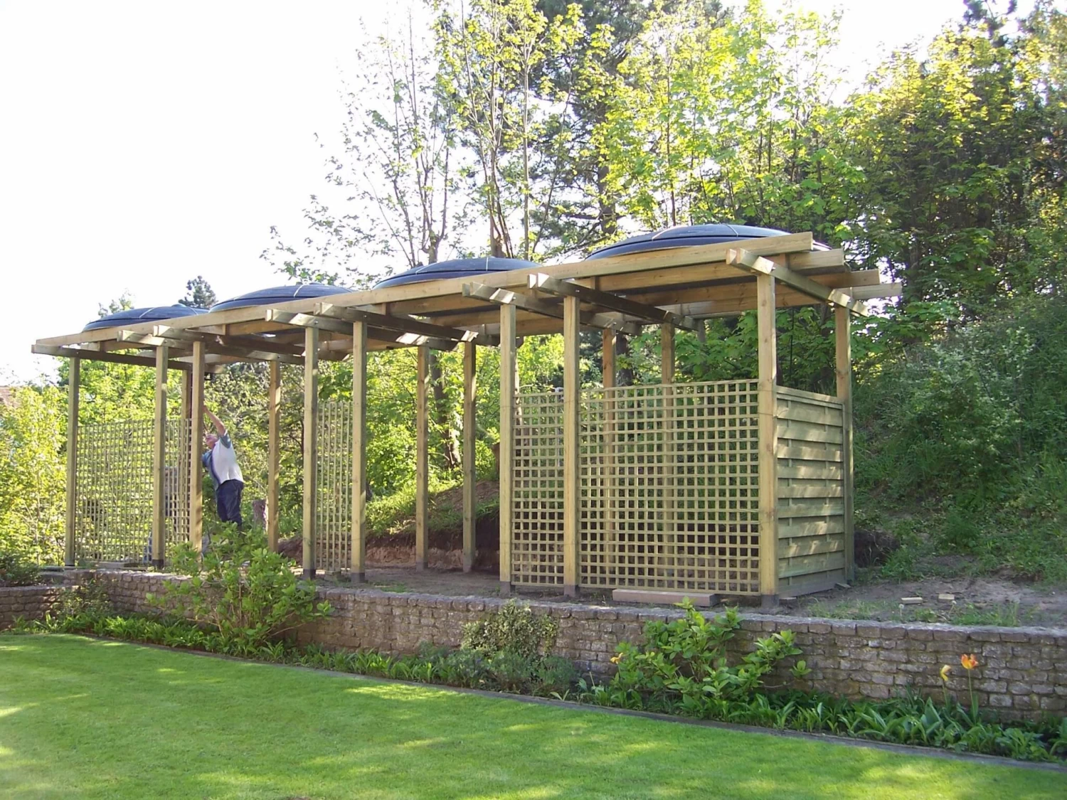 Blozoen Zonnecollector - Afbeelding 5