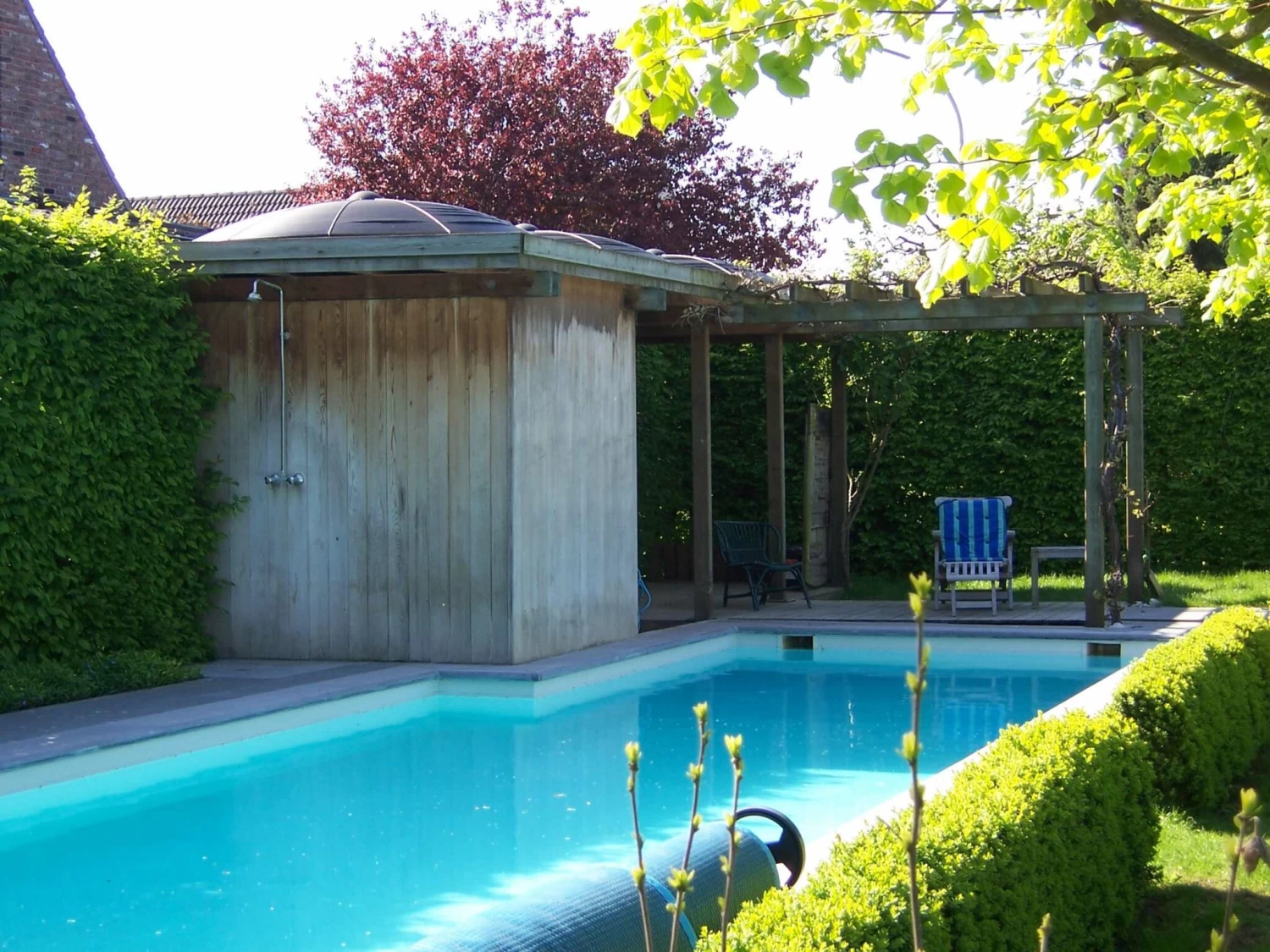 Blozoen Zonnecollector - Afbeelding 2