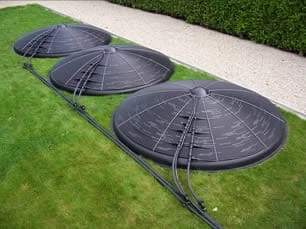 Blozoen Zonnecollector - Afbeelding 4