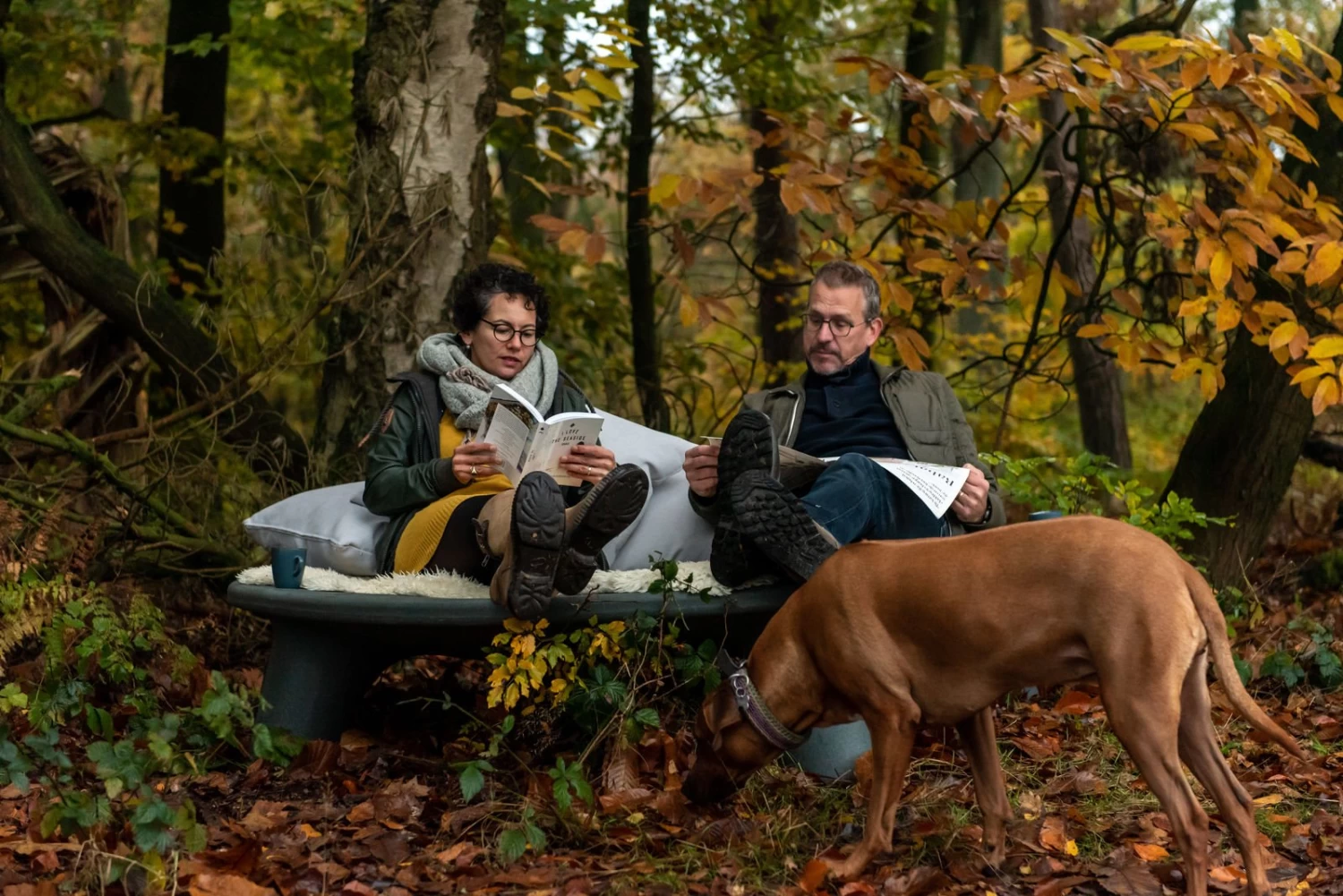 Flying Dishman - Afbeelding 7