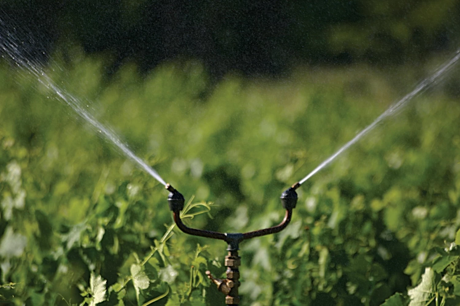 Propeler Tuinsproeier - Afbeelding 11