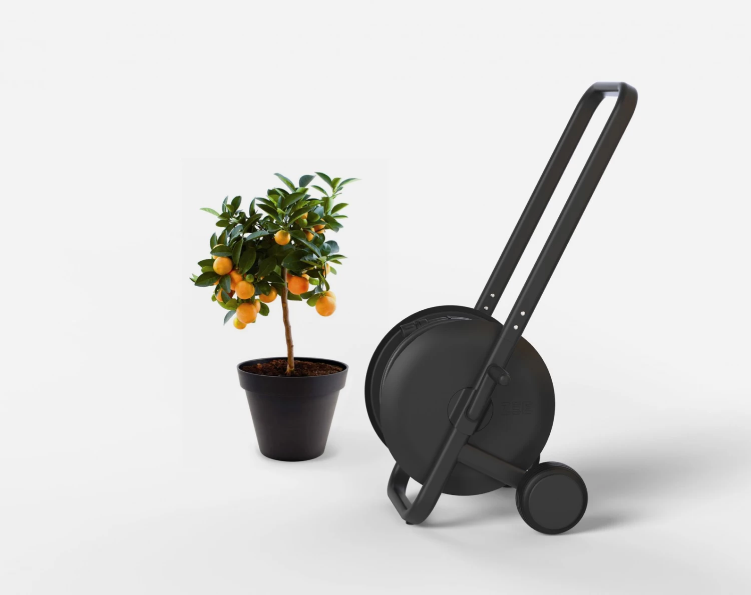 ZEE Tasman 50m - Afbeelding 8