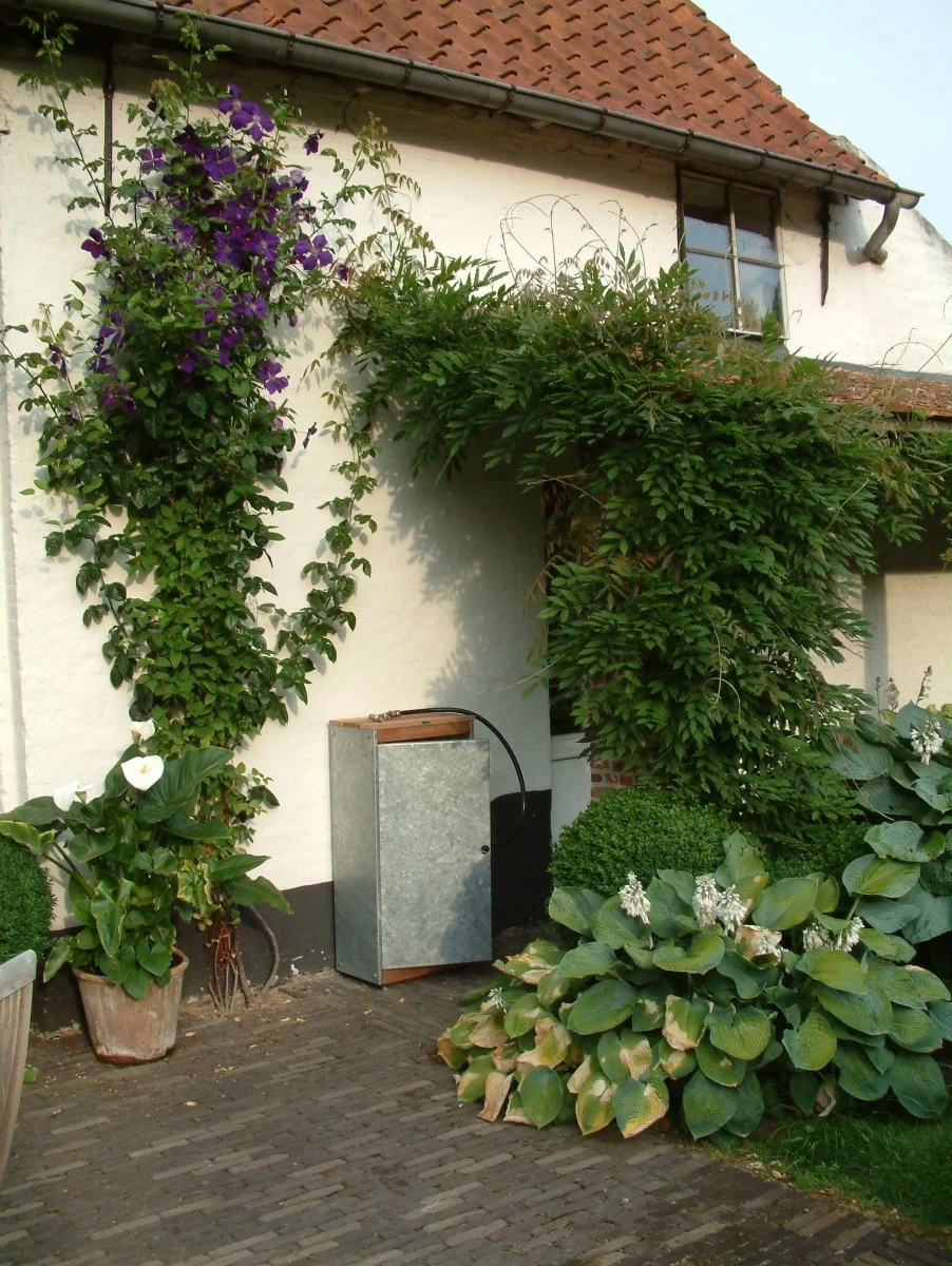 Wall’r - Afbeelding 5